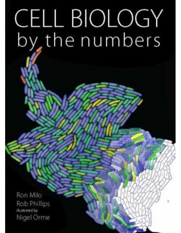 Cell Biology by the Numbers by Ron Milo, Rob Phillips