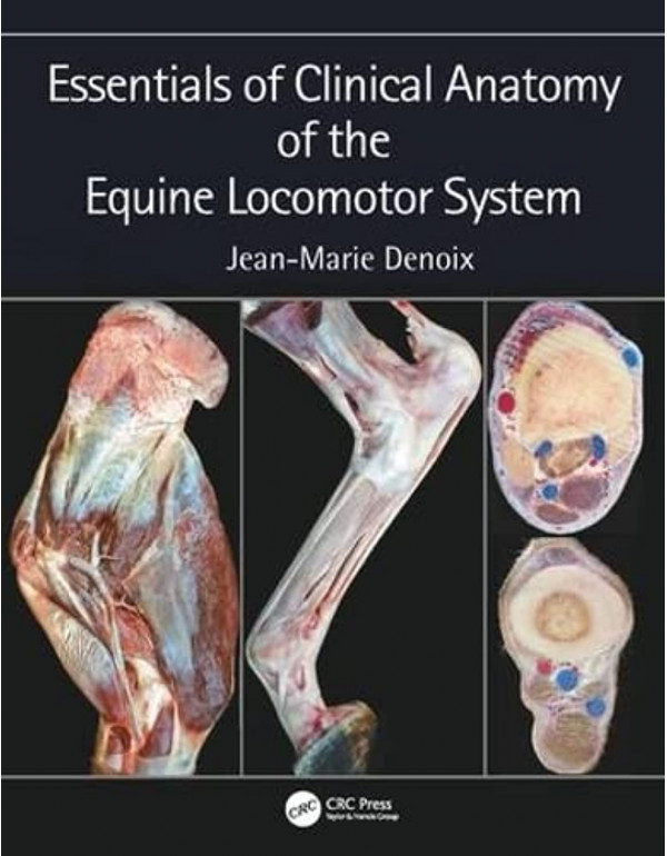 Essentials of Clinical Anatomy of the Equine Locomotor System by Jean-Marie Denoix *US HARDCOVER*