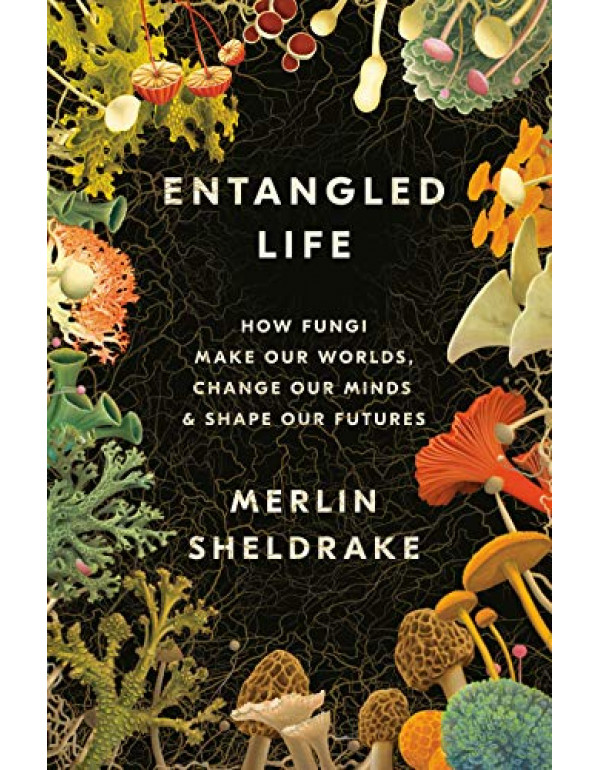 Entangled Life: How Fungi Make Our Worlds, Change Our Minds & Shape Our Futures By Sheldrake, Merlin (0525510311) (9780525510314)