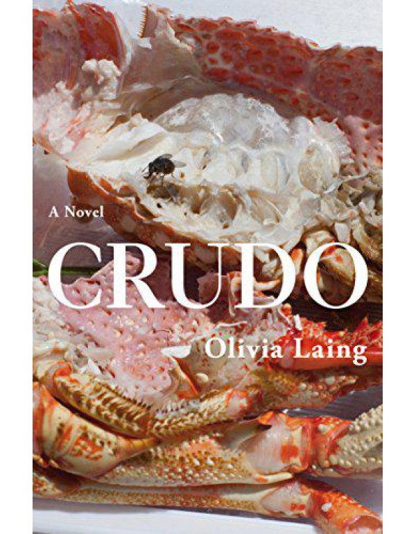 Crudo: Love in the Apocalypse By Laing, Olivia
